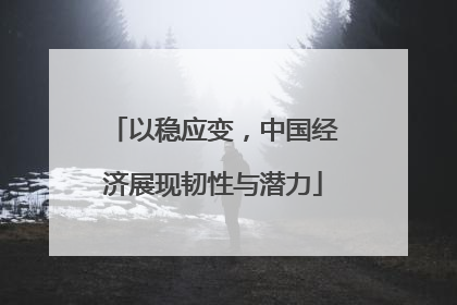 以稳应变，中国经济展现韧性与潜力