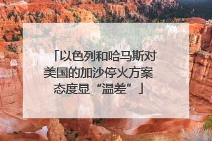 以色列和哈马斯对美国的加沙停火方案态度显“温差”