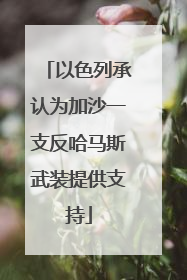 以色列承认为加沙一支反哈马斯武装提供支持