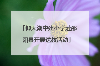 仰天湖中建小学赴邵阳县开展送教活动