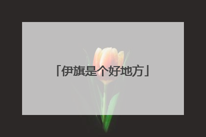 伊旗是个好地方