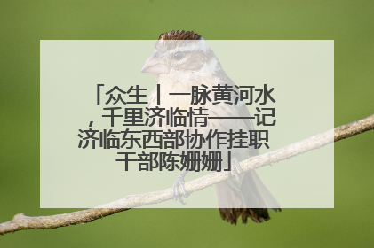 众生丨一脉黄河水，千里济临情——记济临东西部协作挂职干部陈姗姗