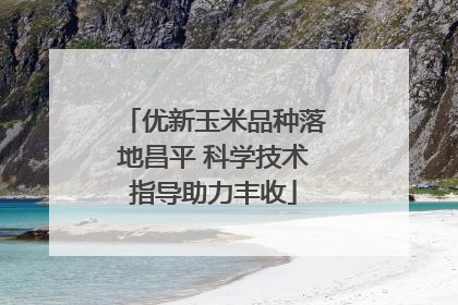优新玉米品种落地昌平 科学技术指导助力丰收