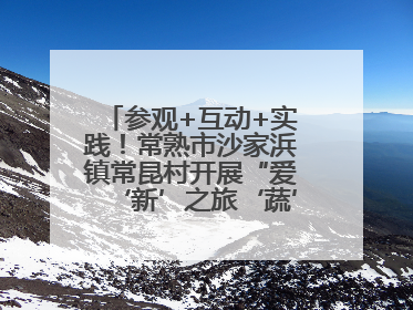 参观+互动+实践！常熟市沙家浜镇常昆村开展“爱‘新’之旅‘蔬’适生活”参观学习活动