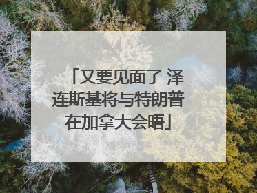 又要见面了 泽连斯基将与特朗普在加拿大会晤