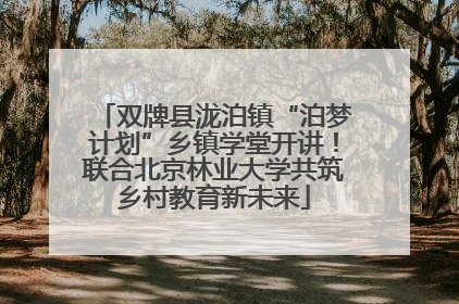 双牌县泷泊镇“泊梦计划”乡镇学堂开讲！联合北京林业大学共筑乡村教育新未来