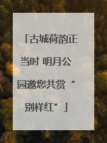 古城荷韵正当时 明月公园邀您共赏“别样红”
