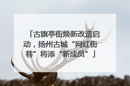 古旗亭街焕新改造启动，扬州古城“网红街巷”将添“新成员”