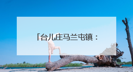 台儿庄马兰屯镇：移风易俗绘新篇 文明新风入人心