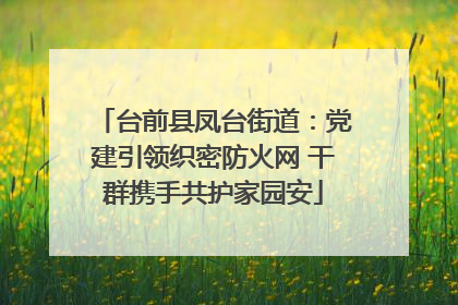 台前县凤台街道：党建引领织密防火网 干群携手共护家园安