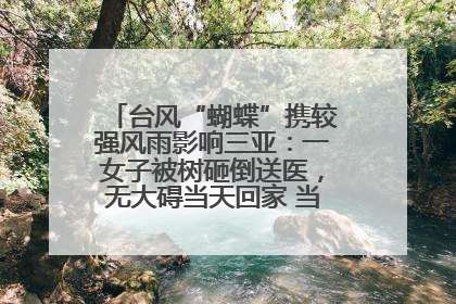 台风“蝴蝶”携较强风雨影响三亚：一女子被树砸倒送医，无大碍当天回家 当地已紧急清障