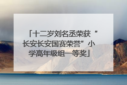 十二岁刘名丞荣获“长安长安国赛荣誉”小学高年级组一等奖
