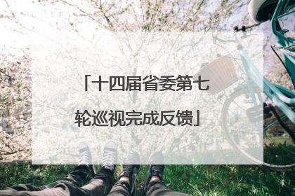 十四届省委第七轮巡视完成反馈