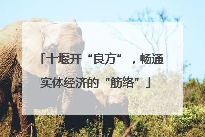十堰开“良方”，畅通实体经济的“筋络”