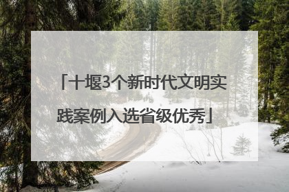十堰3个新时代文明实践案例入选省级优秀