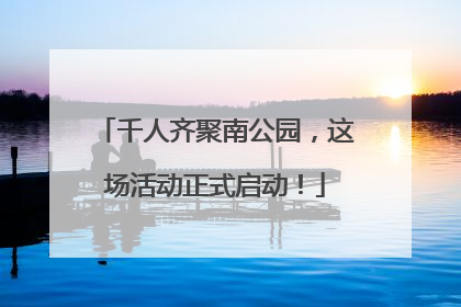 千人齐聚南公园，这场活动正式启动！