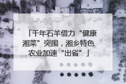 千年石羊借力“健康湘菜”突围，湘乡特色农业加速“出省”