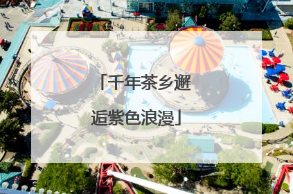 千年茶乡邂逅紫色浪漫