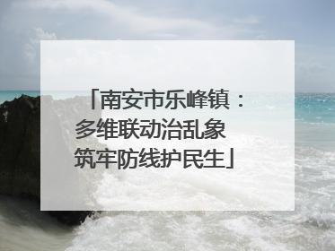 南安市乐峰镇：多维联动治乱象 筑牢防线护民生