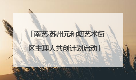 南艺·苏州元和塘艺术街区主理人共创计划启动