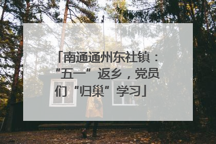南通通州东社镇：“五一”返乡，党员们“归巢”学习