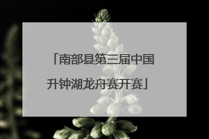 南部县第三届中国升钟湖龙舟赛开赛