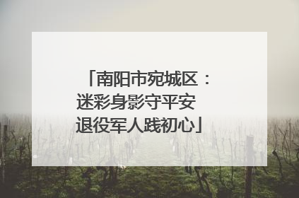 南阳市宛城区：迷彩身影守平安 退役军人践初心