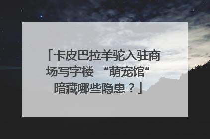 卡皮巴拉羊驼入驻商场写字楼 “萌宠馆”暗藏哪些隐患？