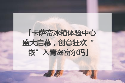 卡萨帝冰箱体验中心盛大启幕，创意狂欢“嵌”入青岛富尔玛