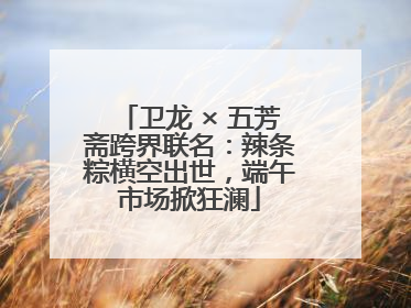 卫龙 × 五芳斋跨界联名：辣条粽横空出世，端午市场掀狂澜