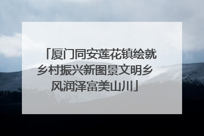 厦门同安莲花镇绘就乡村振兴新图景文明乡风润泽富美山川
