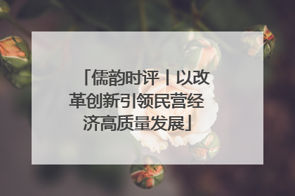 儒韵时评丨以改革创新引领民营经济高质量发展
