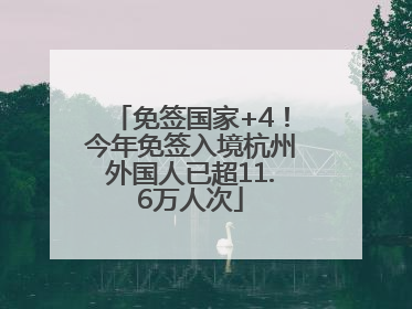 免签国家+4！今年免签入境杭州外国人已超11.6万人次