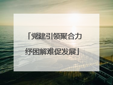 党建引领聚合力 纾困解难促发展