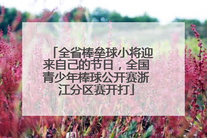 全省棒垒球小将迎来自己的节日，全国青少年棒球公开赛浙江分区赛开打