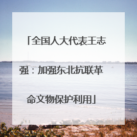 全国人大代表王志强：加强东北抗联革命文物保护利用