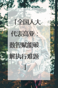 全国人大代表高亚：数智赋能破解执行难题