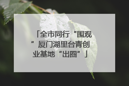 全市同行“围观”厦门湖里台青创业基地“出圈”
