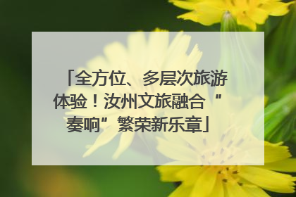 全方位、多层次旅游体验！汝州文旅融合“奏响”繁荣新乐章