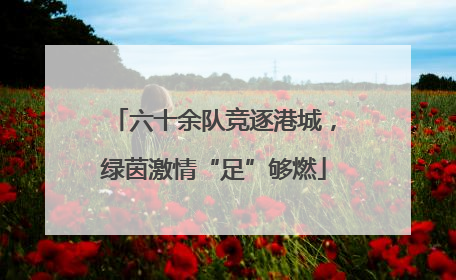 六十余队竞逐港城，绿茵激情“足”够燃