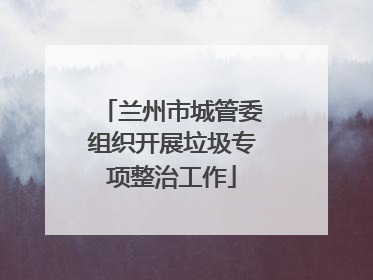 兰州市城管委组织开展垃圾专项整治工作