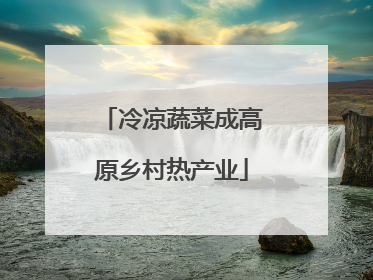 冷凉蔬菜成高原乡村热产业