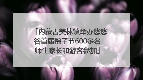 内蒙古美林镇举办悠悠谷首届粽子节600多名师生家长和游客参加