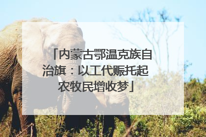 内蒙古鄂温克族自治旗：以工代赈托起农牧民增收梦
