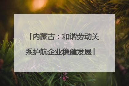 内蒙古：和谐劳动关系护航企业稳健发展
