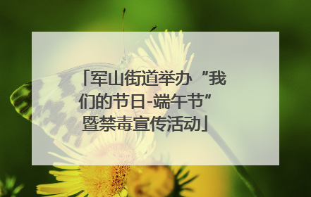 军山街道举办“我们的节日-端午节”暨禁毒宣传活动