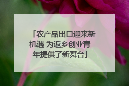 农产品出口迎来新机遇 为返乡创业青年提供了新舞台