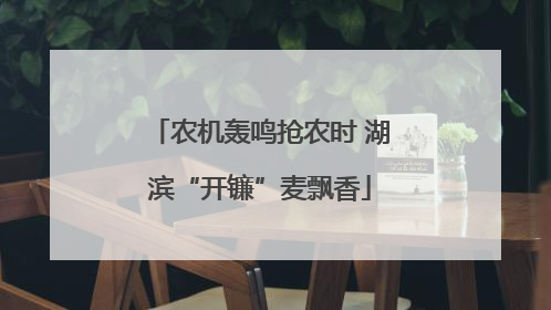 农机轰鸣抢农时 湖滨“开镰”麦飘香