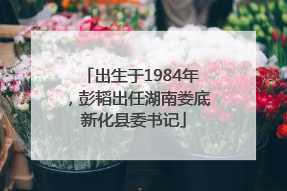 出生于1984年，彭韬出任湖南娄底新化县委书记