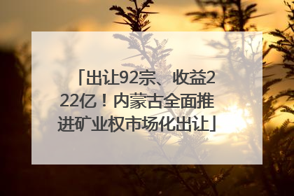 出让92宗、收益222亿！内蒙古全面推进矿业权市场化出让